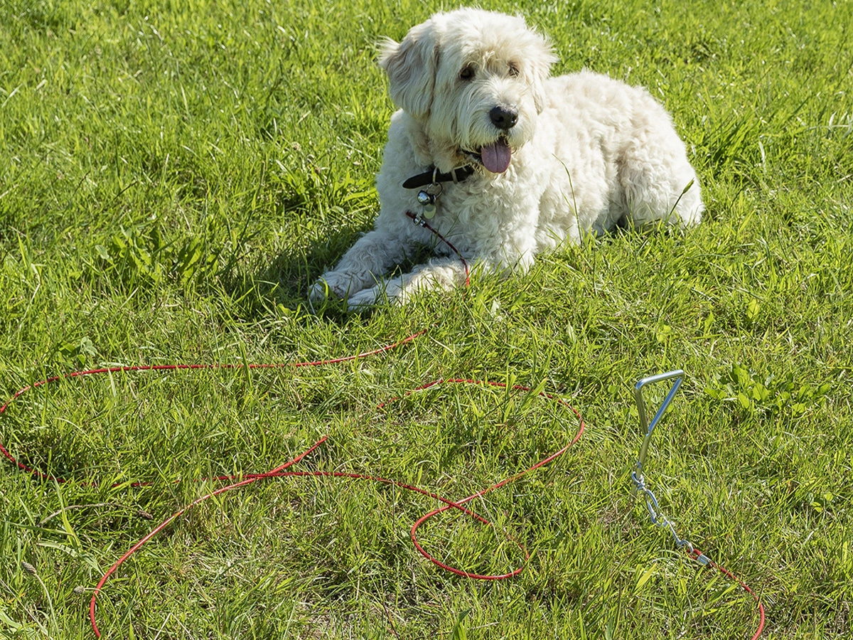 ProPlus aanlegspiraal met kabel