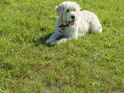 ProPlus aanlegspiraal met kabel