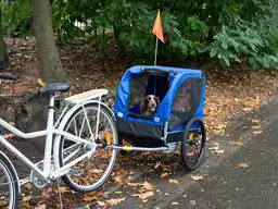Bicycle Gear hondenfietskar