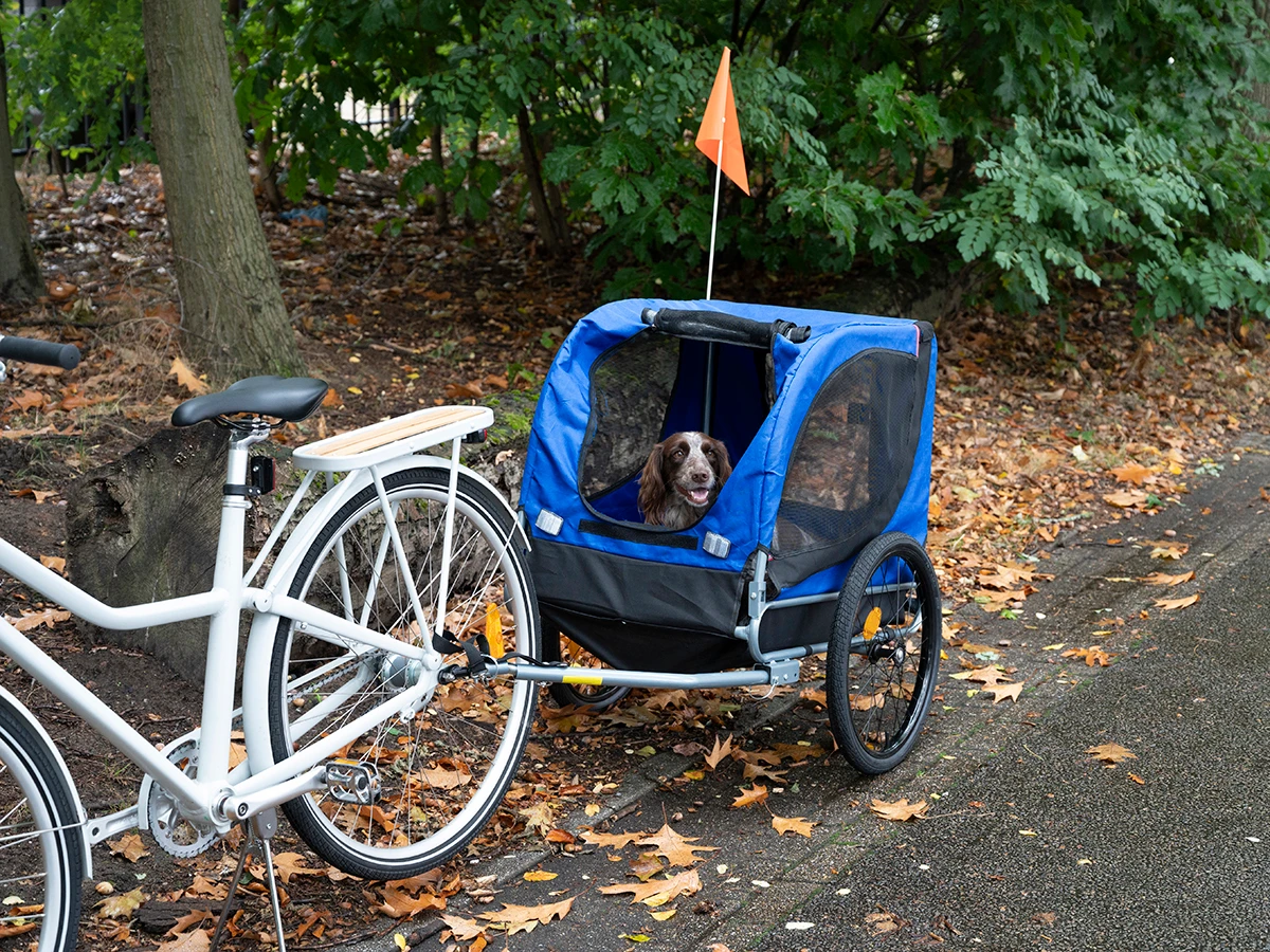 Bicycle Gear hondenfietskar