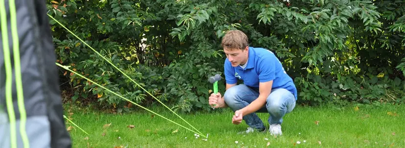 Keuzehulp tentharingen: welke haringen heb ik nodig?