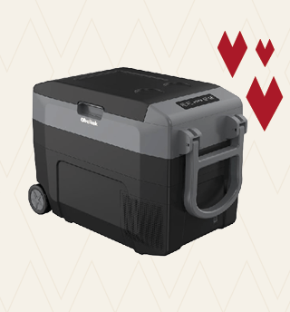 Draagbare koelbox met wielen en handvat