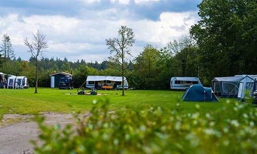 campingveldje met caravans en tenten Ruime groene camping met caravans en tenten omringd door bomen onder een blauwe hemel met witte wolken