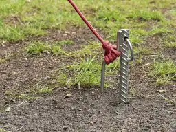 Obelink Ancla grondpen met haak en ring