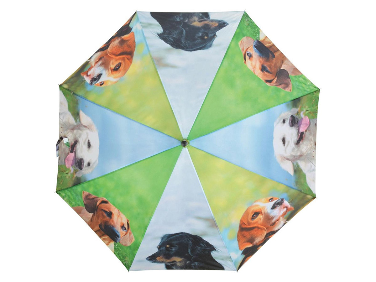 Honden paraplu