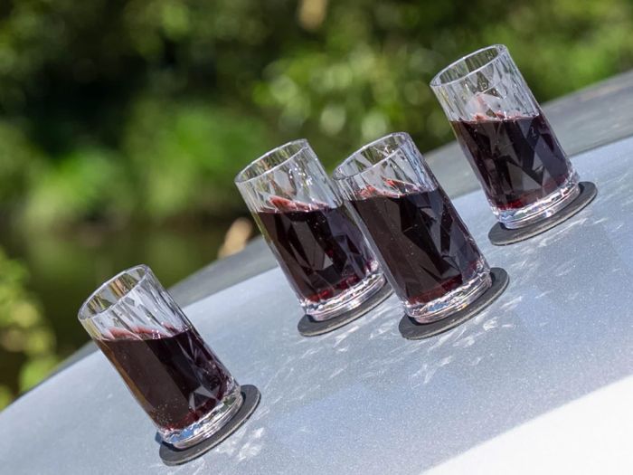 Silwy Shot magnetische kunststof glazen - set van 4