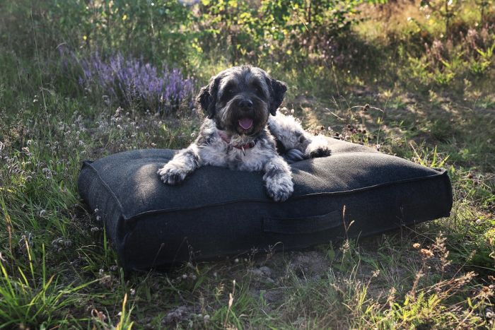 Chill Dept Takoda Desert Sand Large Hondenkussen