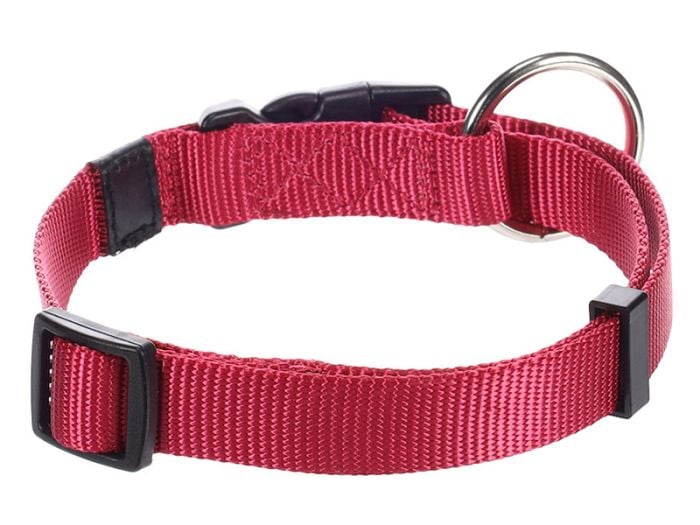 Flamingo Ziggi Cherry Red halsband - L