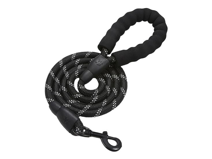 All 4 Pets Supply reflecterende hondenriem - 1,5 meter