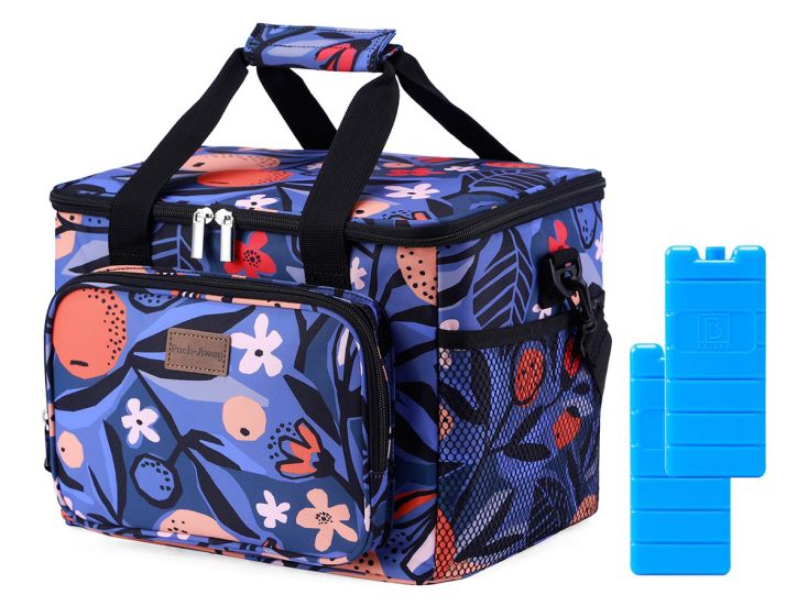 Packaway 15 liter geïsoleerde koeltas - Valencia