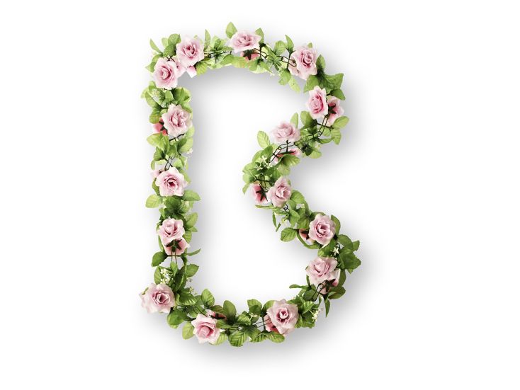 Basil rozen bloemenstreng