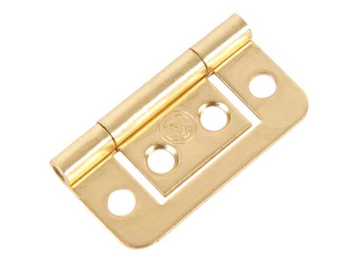 Fjord metalen kleine vlakke scharnieren (2x stuks) - gold