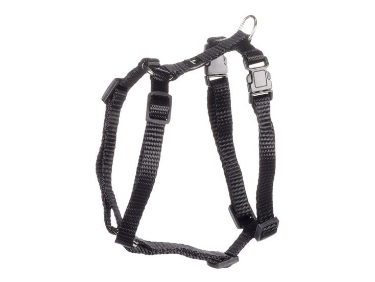 Flamingo Ziggi Black harnas - M