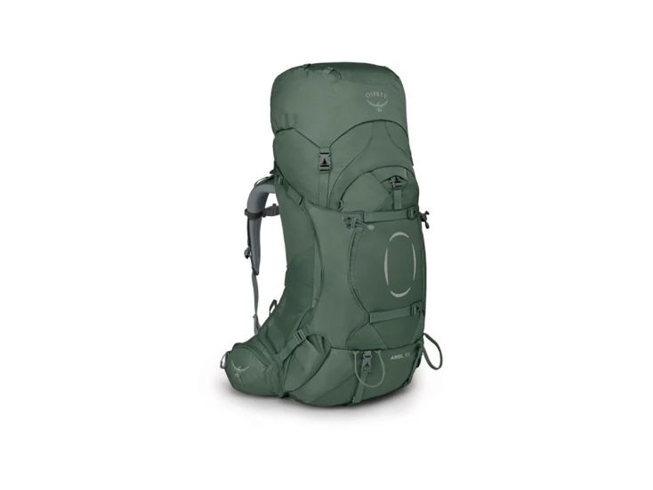 Osprey Ariël 55 Backpack vrouwen - Koseret Green