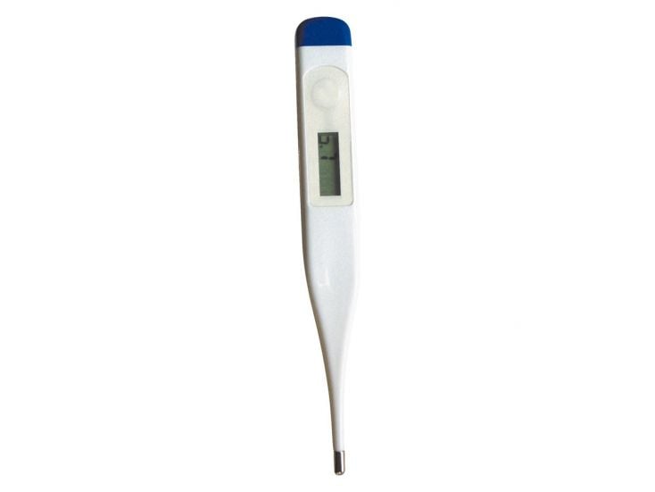 TravelSafe digitale thermometer