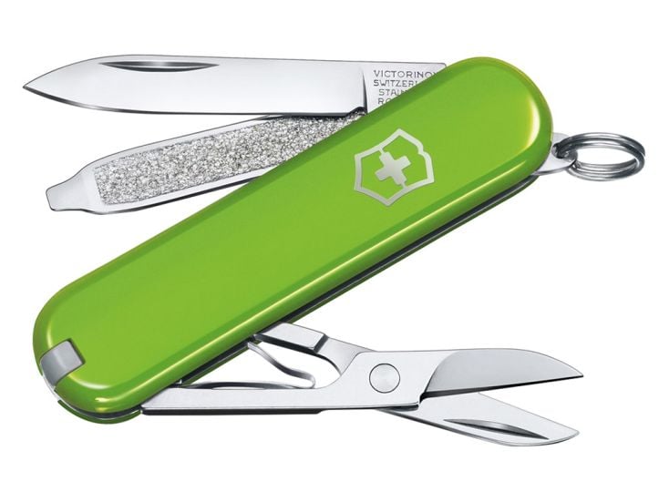 Victorinox Classic SD Smashed Avocado zakmes