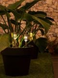 Luxform Siena set van 8 solar buitenlampen thumbnail