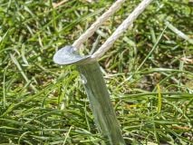 ProPlus halfronde tentharingen 30 cm thumbnail