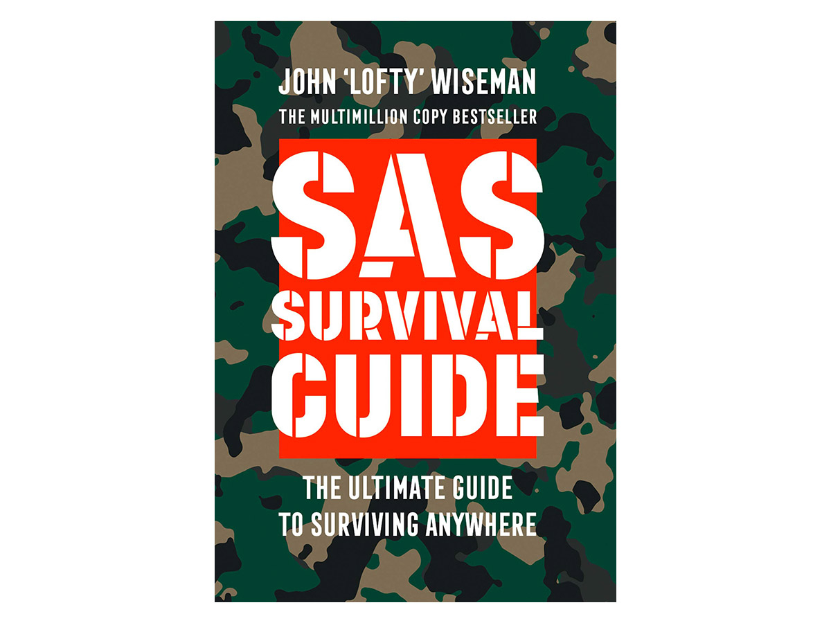 SAS Survival Guide