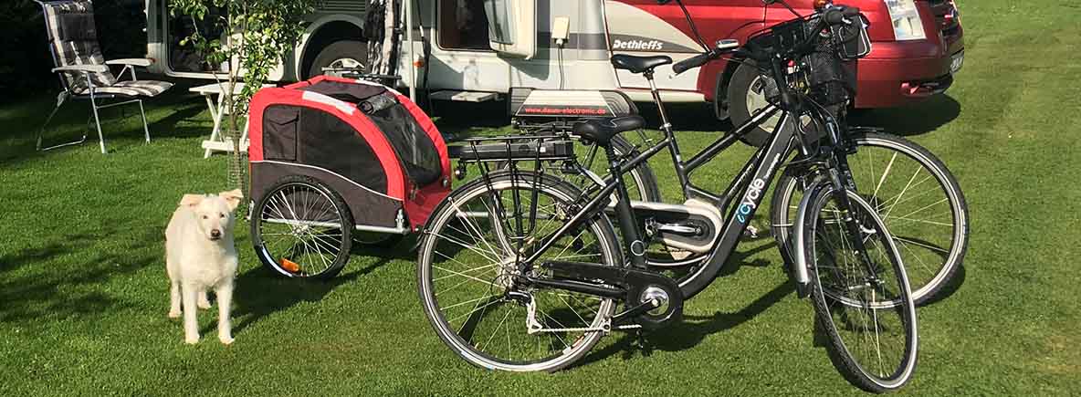 hond en hondenkar met fiets