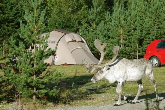 Camping Zweden